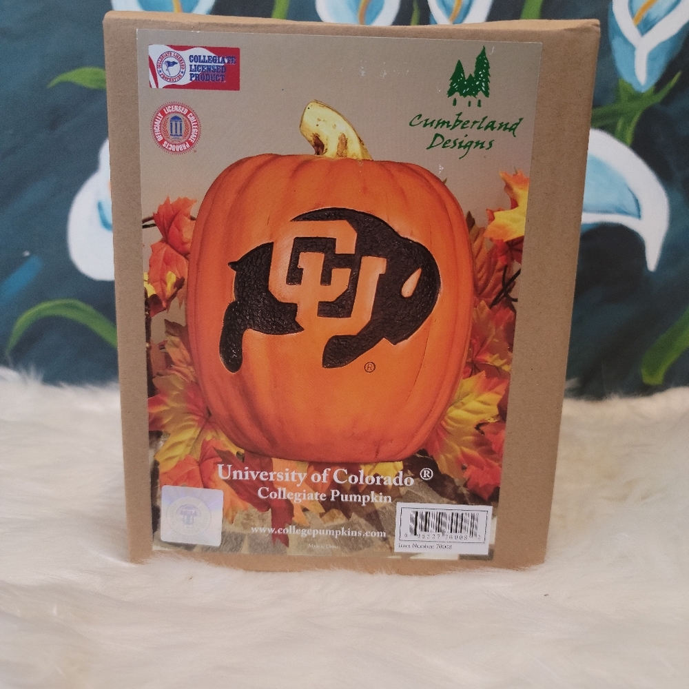 University of Colorado official collegiate pumpkin from Cumberland Designs